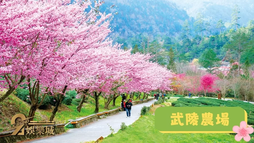 春節旅遊