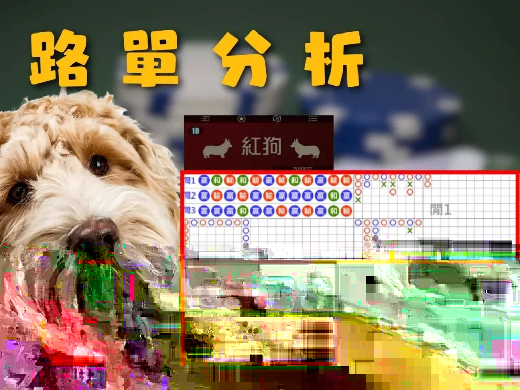 撲克牌紅狗 線上紙牌遊戲 線上撲克遊戲